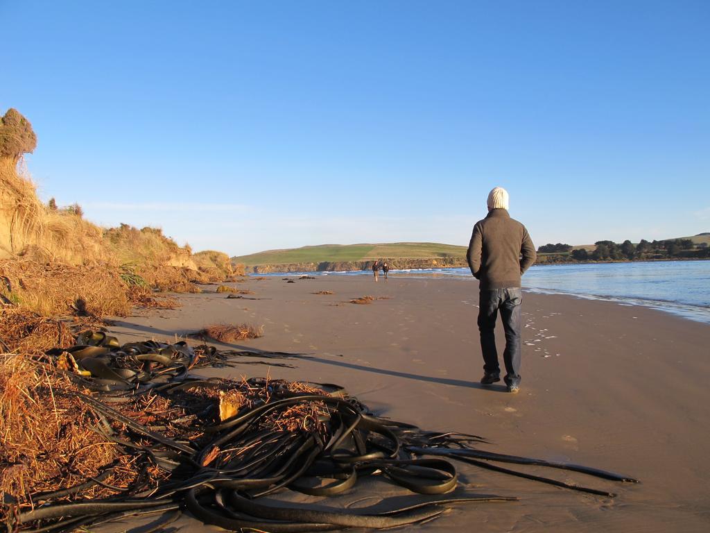 Catlins Newhaven Holiday Park Owaka Номер фото