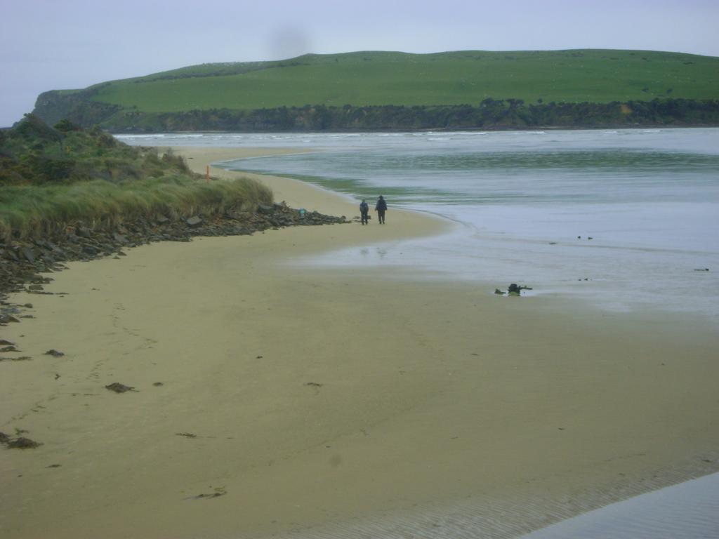 Catlins Newhaven Holiday Park Owaka Экстерьер фото