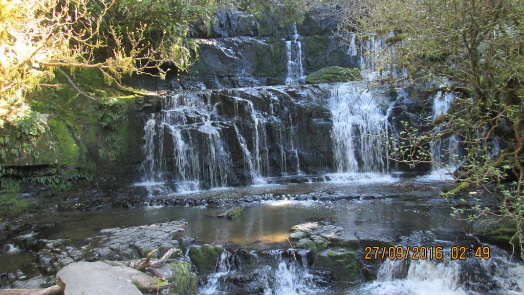 Catlins Newhaven Holiday Park Owaka Экстерьер фото