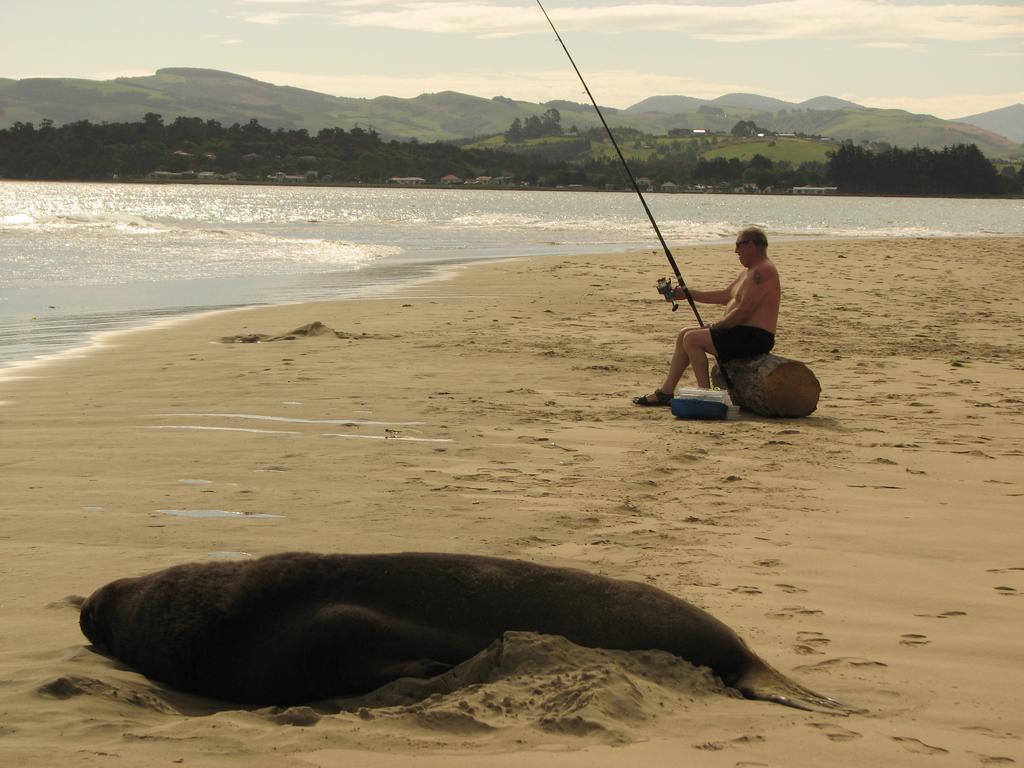 Catlins Newhaven Holiday Park Owaka Экстерьер фото