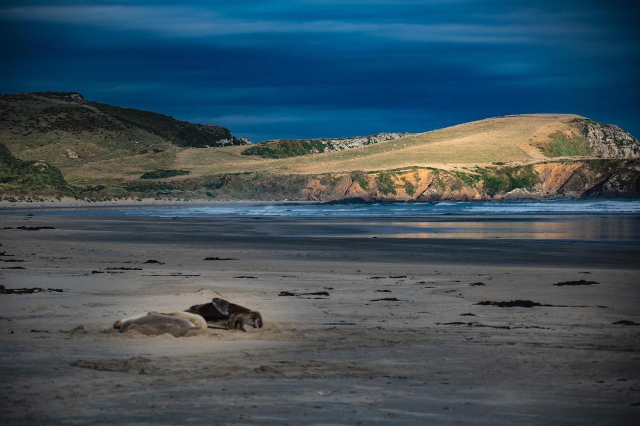 Catlins Newhaven Holiday Park Owaka Экстерьер фото